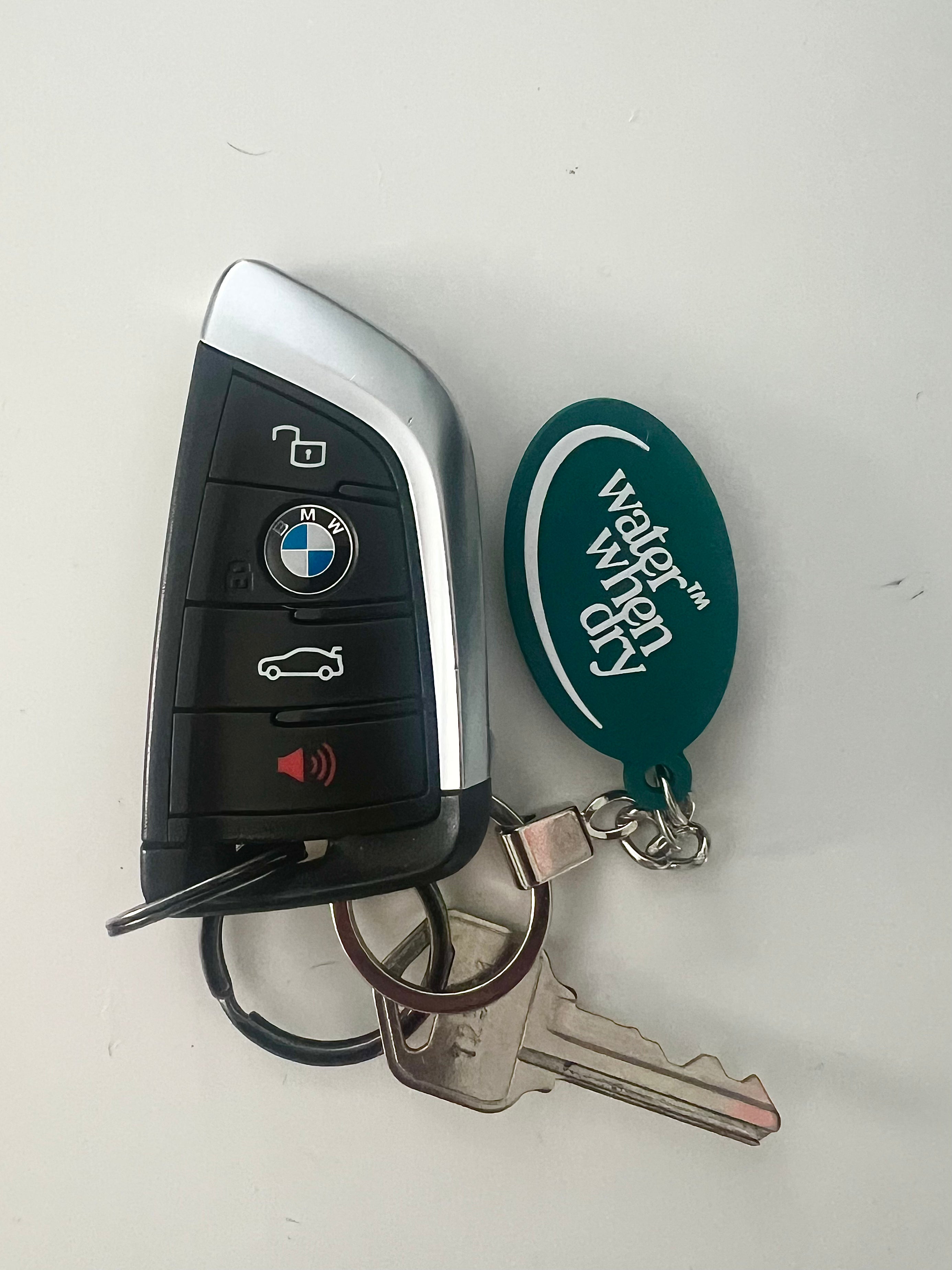 Logo Keychain